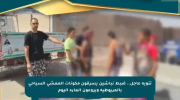 تنويه عاجل.. ضبط نباشين يسرقون مكونات الممشى السياحى بالمريوطية ويروعون المارة اليوم